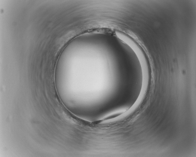 X0000052550481200507291919