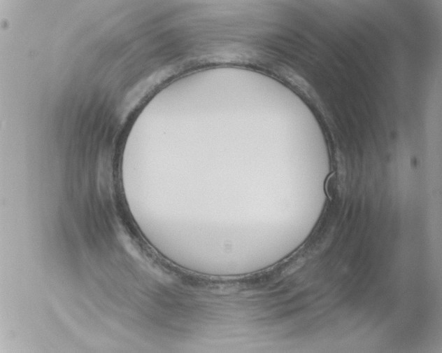 X0000052550482200507291919