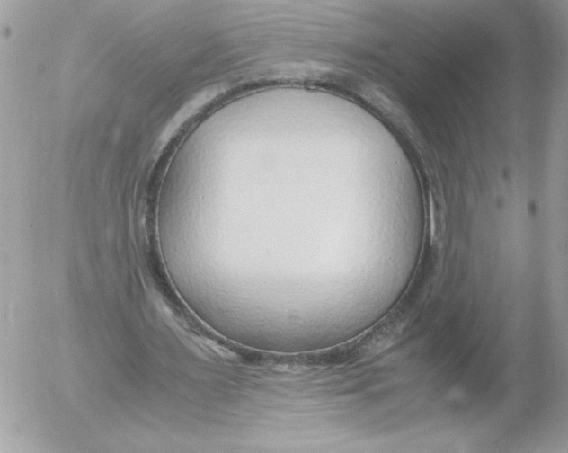 X0000052550483200507291919