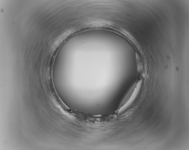 X0000052550485200507291919