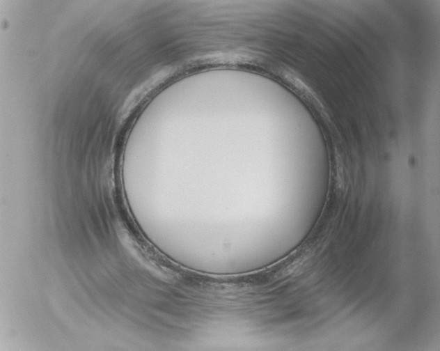 X0000052550486200507291919