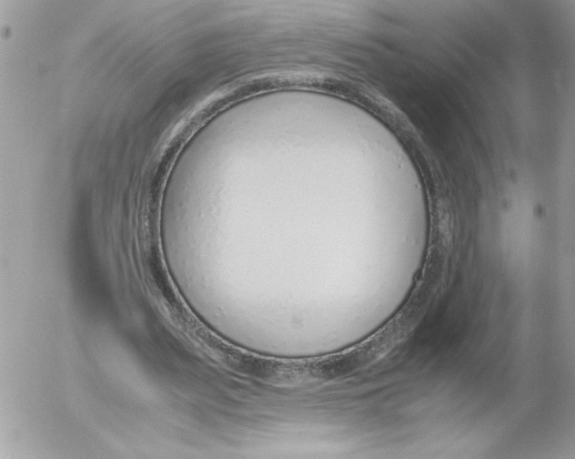 X0000052550487200507291919