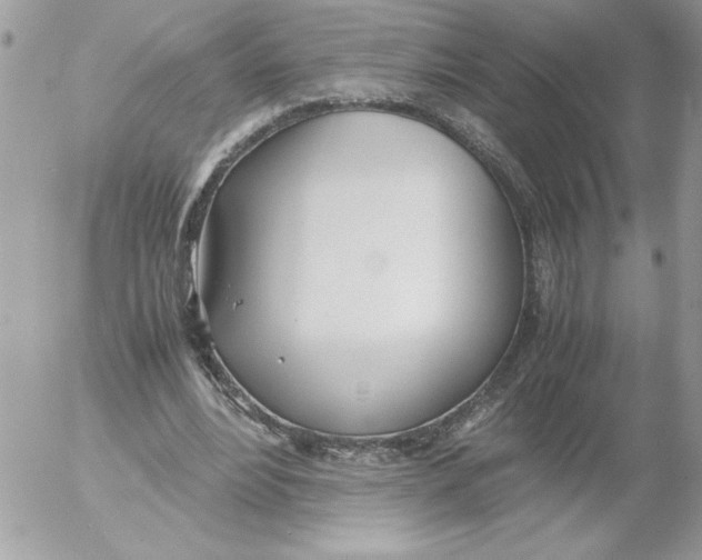 X0000052550488200507291919