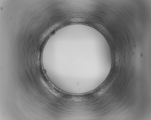 X0000052550490200507291919