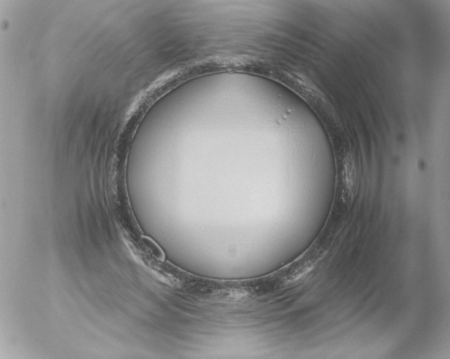 X0000052550492200507291919