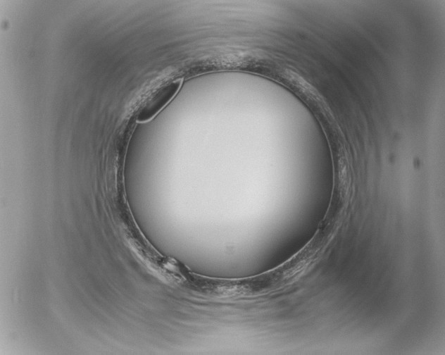 X0000052550493200507291919