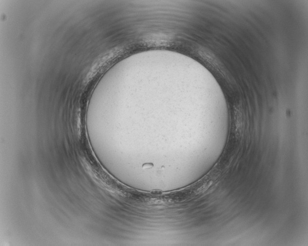 X0000052550494200507291919