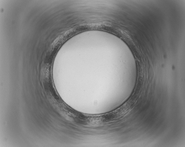 X0000052550495200507291919