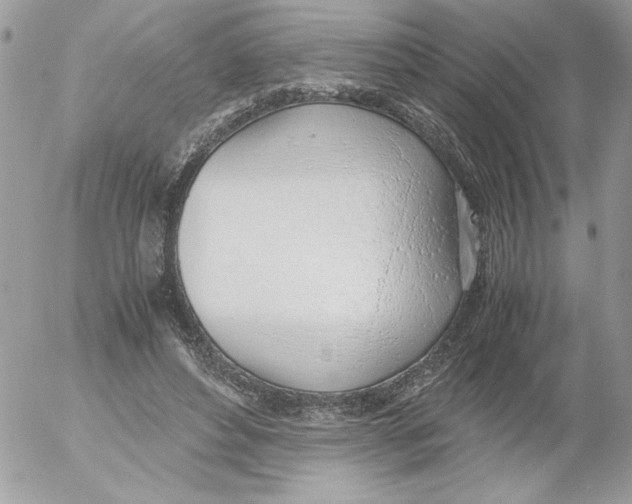 X0000052550496200507291919