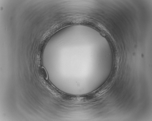 X0000052550497200507291919