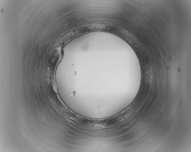 X0000052550498200507291919