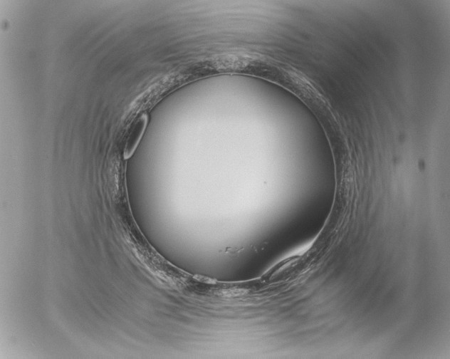 X0000052550501200507291919