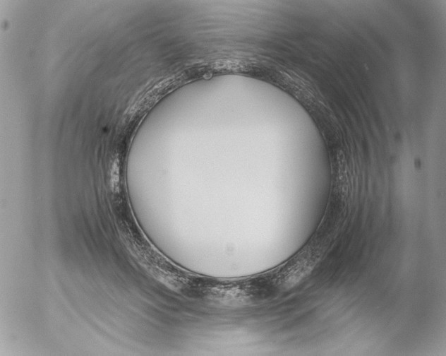 X0000052550502200507291919