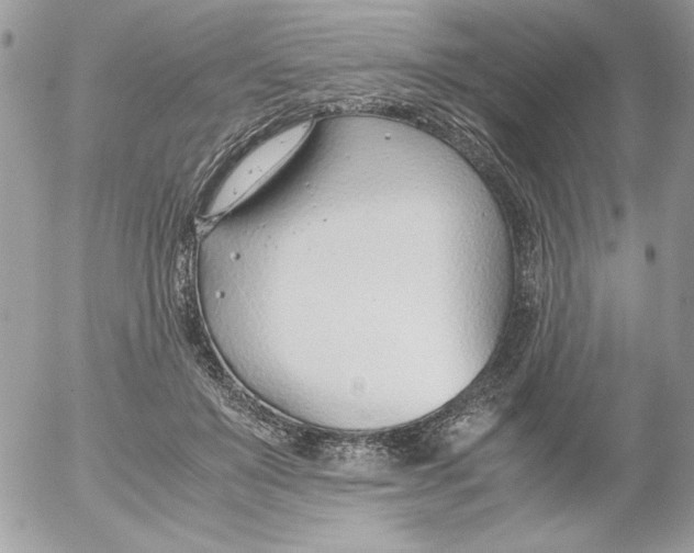 X0000052550503200507291919