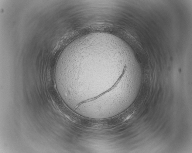 X0000052550504200507291919