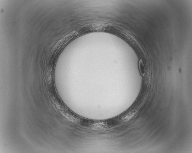 X0000052550505200507291919