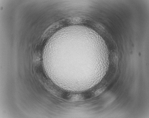 X0000052550507200507291919