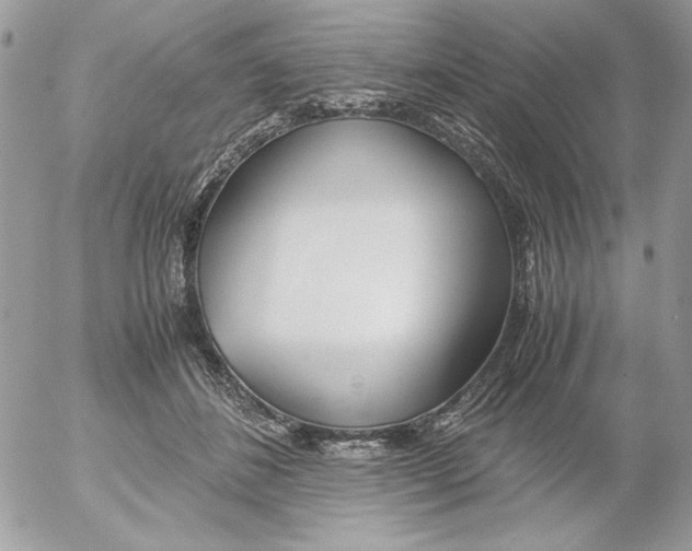 X0000052550508200507291919