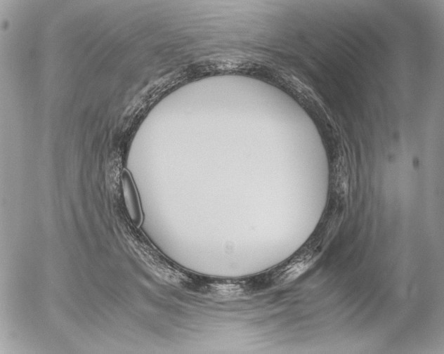 X0000052550509200507291919