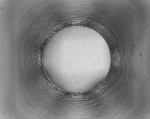 X0000052550510200507291919