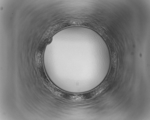 X0000052550511200507291919