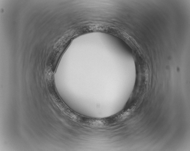 X0000052550513200507291919