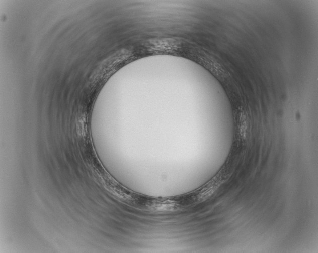 X0000052550514200507291919