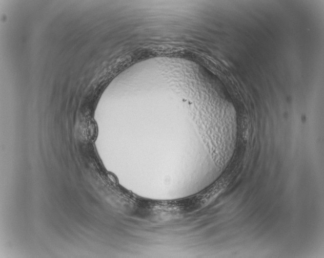 X0000052550515200507291919