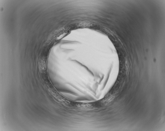 X0000052550517200507291919