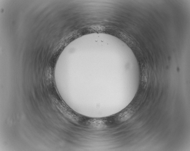 X0000052550518200507291919