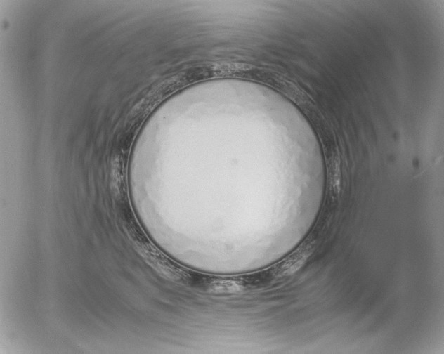 X0000052550519200507291919