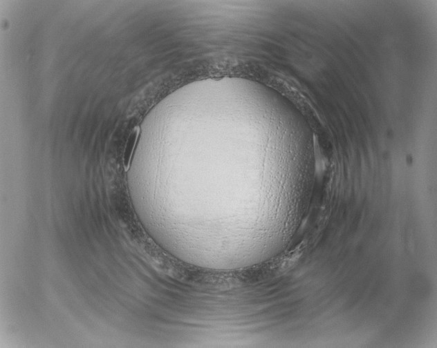 X0000052550520200507291919