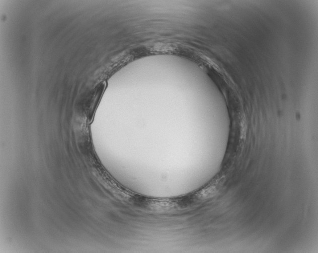 X0000052550521200507291919