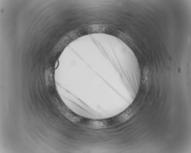 X0000052550522200507291919