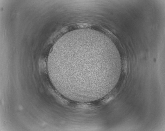 X0000052550523200507291919