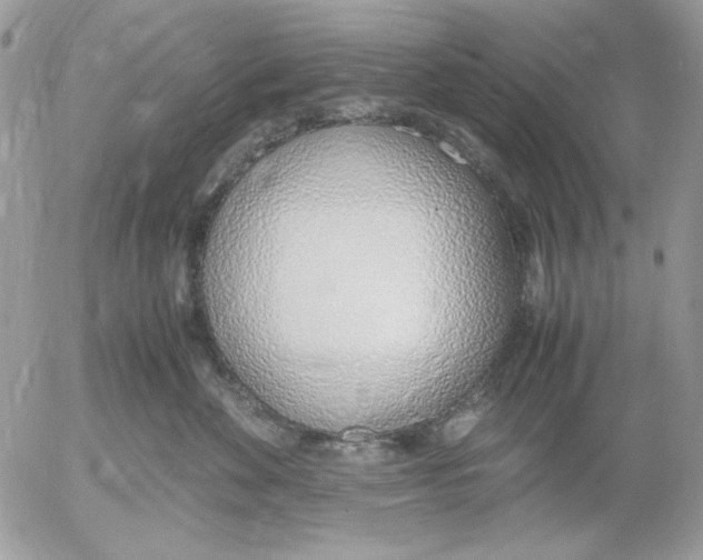 X0000052550524200507291919