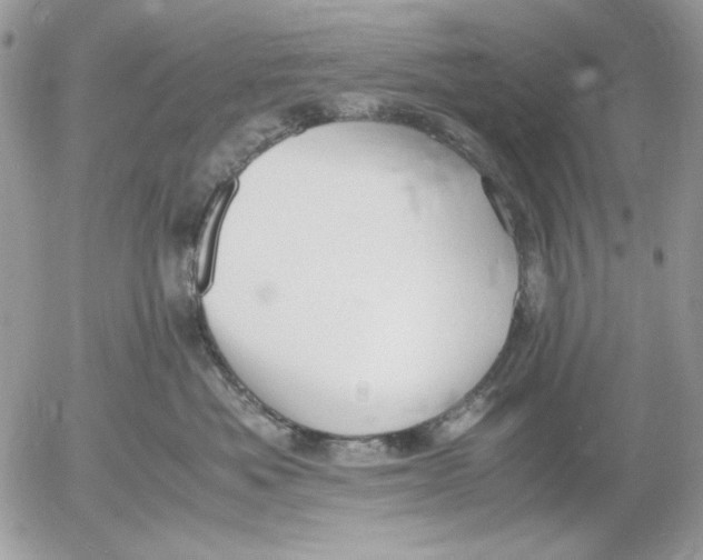 X0000052550525200507291919