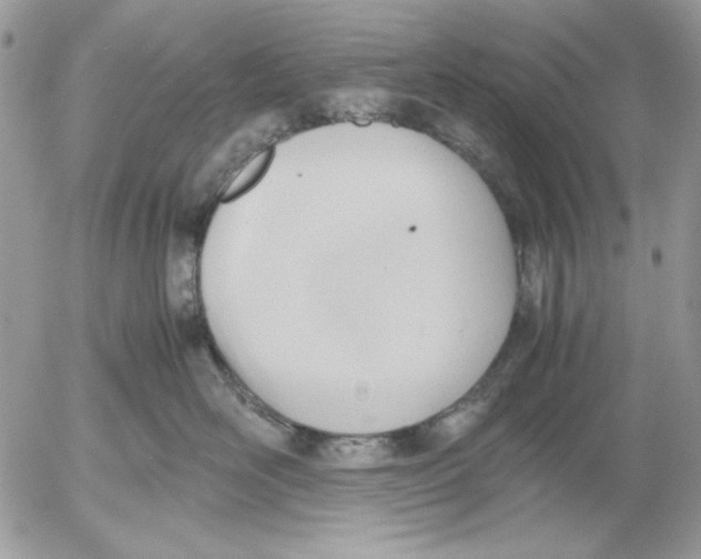 X0000052550526200507291919