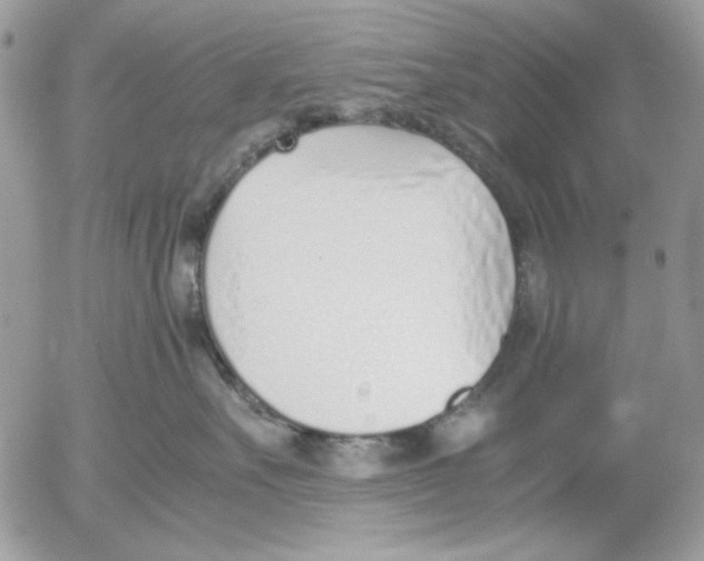 X0000052550527200507291919