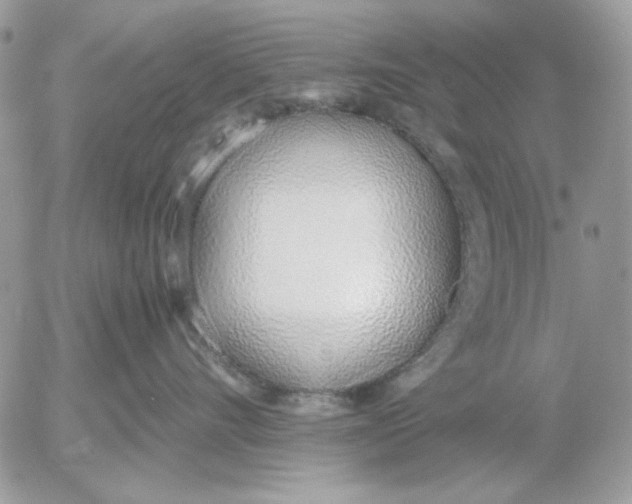 X0000052550528200507291919