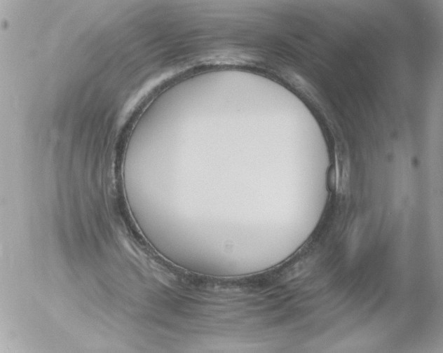 X0000052550531200507291918