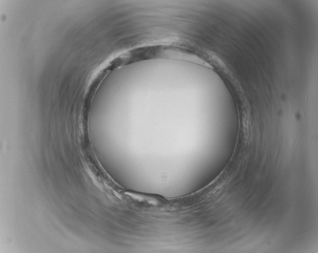 X0000052550532200507291918