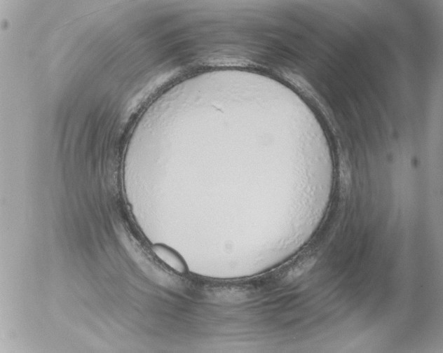 X0000052550533200507291918