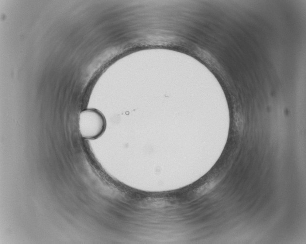 X0000052550534200507291918