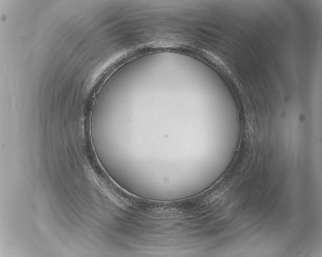 X0000052550535200507291918