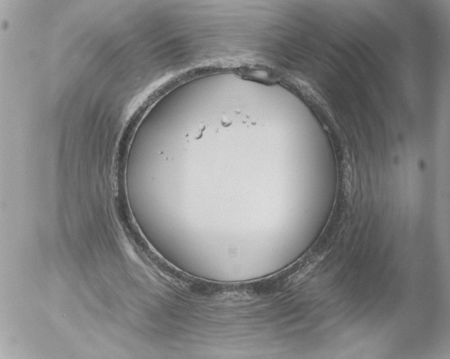 X0000052550536200507291918