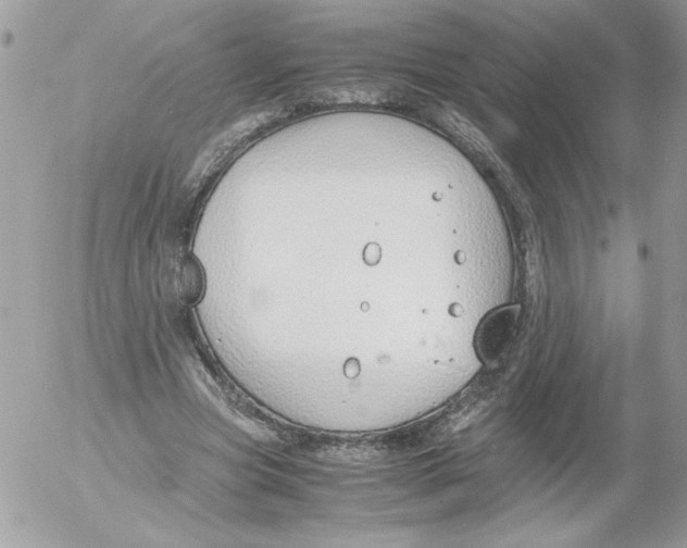 X0000052550537200507291918