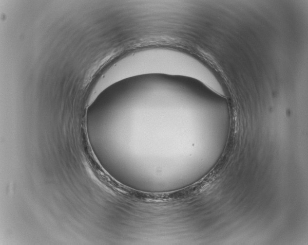 X0000052550538200507291918