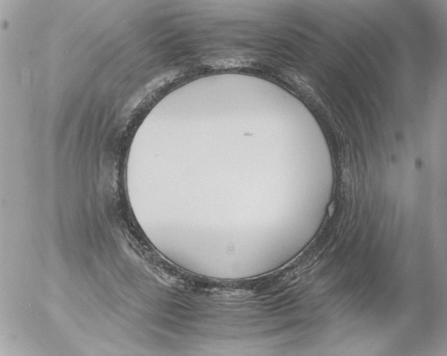 X0000052550539200507291918