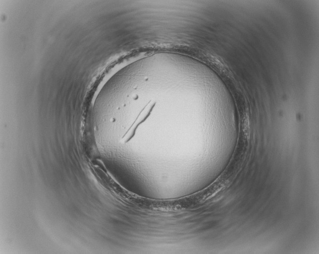 X0000052550540200507291918